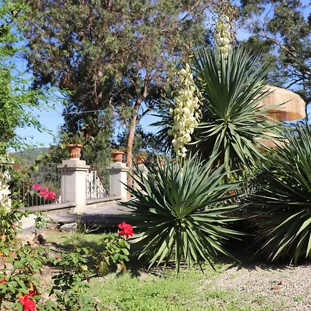 Apartmán Teresa Porto Azzurro