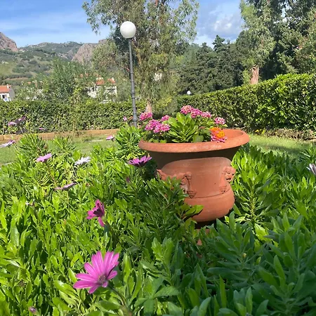Teresa Porto Azzurro